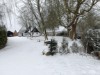 Image 39