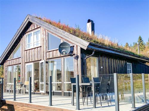  - 10 persons -  - Huvtjønnleiken - Nissedal - 3855 - Treungen