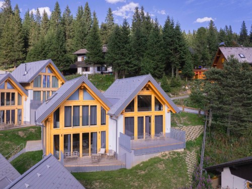 Holiday home - 8 persons -  - 8831 - Lachtal