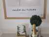 Bilde 7