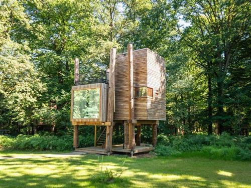 Fritidshus - 4 personer -  - 7640 - Antoing