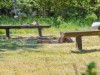 Billede 17 - Grund