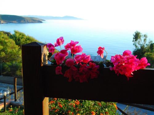 Sommerhus - 5 personer -  - Torre Dei Corsari - 09031