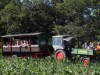 Bild 20