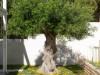 Bild 36 - Aussen
