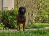 Bild 17