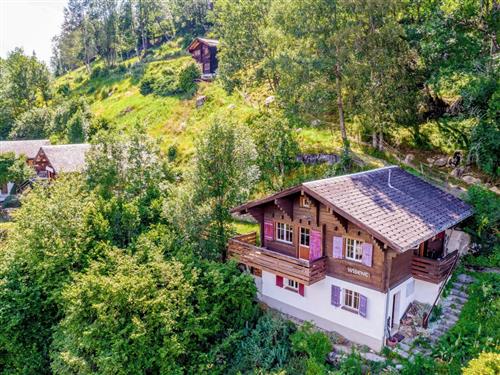 Holiday apartment - 7 persons -  - Fiesch - 3984