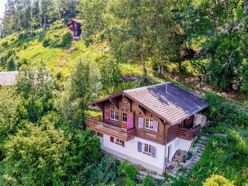 Ferielejlighed - 7 personer -  - Fiesch - 3984