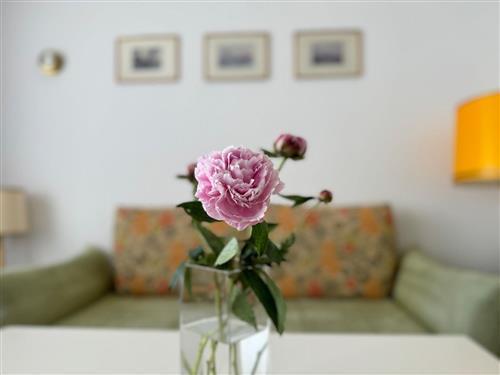Ferienwohnung - 3 Personen -  - Kjeirstraße - 25980 - Sylt/Westerland