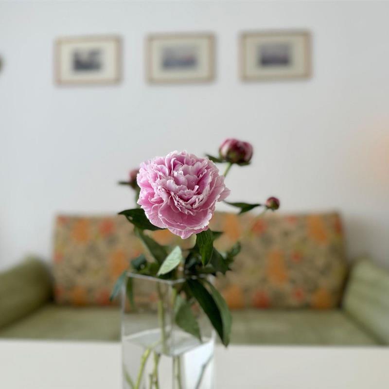 Ferielejlighed - 3 personer -  - Kjeirstraße - 25980 - Sylt/Westerland