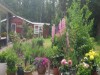 Billede 39 - Grund