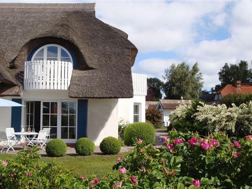 Ferielejlighed - 2 personer -  - Chausseestrasse - 18375 - Born