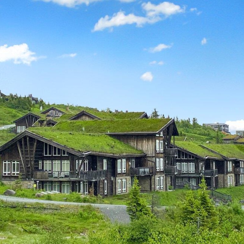 Ferielejlighed - 6 personer -  - Vidsynveien - Norefjell - 3536 - Noresund
