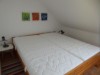 Bilde 5