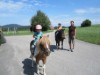Bilde 5
