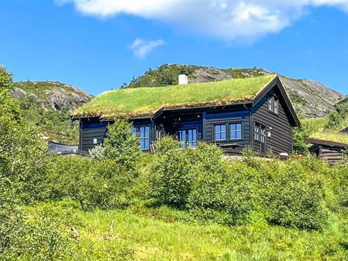 Feriehus - 10 personer -  - Kalvaknutvegen - Fjellbergsskardet/Gullingen - 4134 - Jøsenfjorden