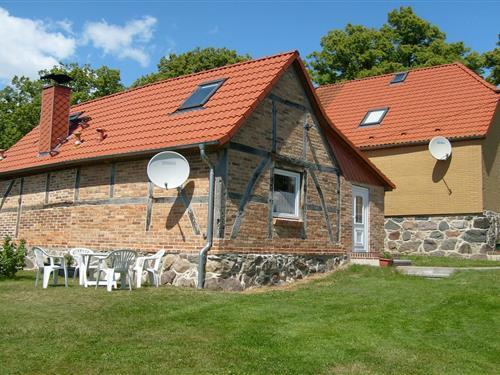 Holiday home - 4 persons -  - 23948 - Elmenhorst