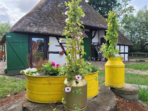 Bondegård - 4 personer -  - Zum Pferdehof - 18230 - Biendorf