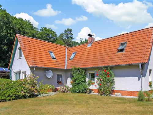 Holiday Home/Apartment - 4 persons -  - Ahlbecker Chaussee - 17429 - Bansin (Seebad)