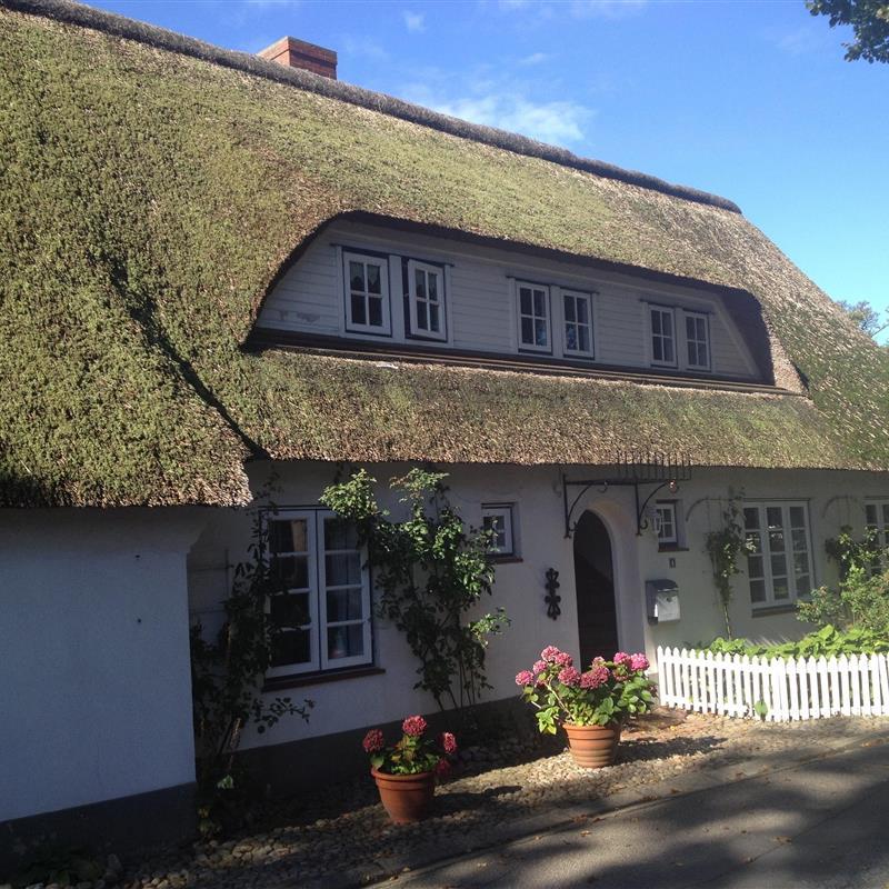 Ferielejlighed - 4 personer -  - Bernhard-Farwer-Straat - 25938 - Nieblum