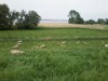 Bild 26