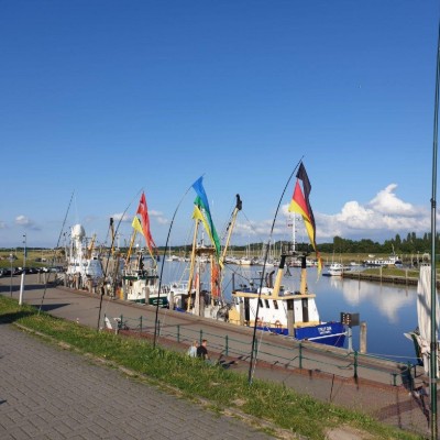 Billede 4
