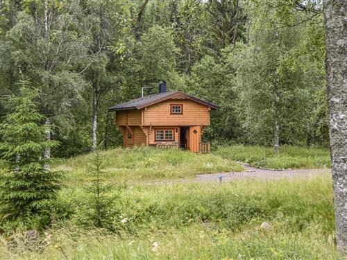 Feriehus / leilighet - 4 personer -  - Högelian Station - Högelian Glaskogen - 672 91 - Årjäng