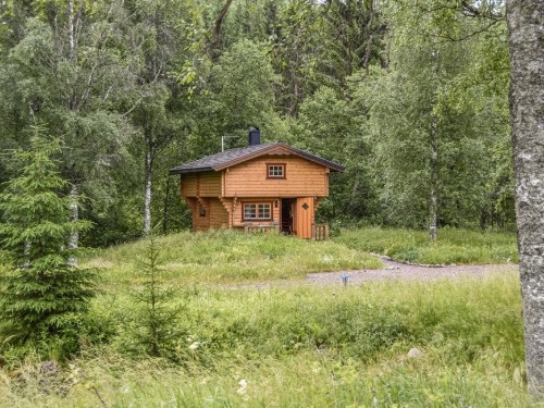 Sommerhus - 4 personer -  - Högelian Station - Högelian Glaskogen - 672 91 - Årjäng