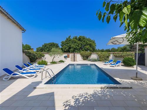 Feriehus - 8 personer -  - Novigrad (Istra) - 52474