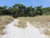 Image 8 - Region