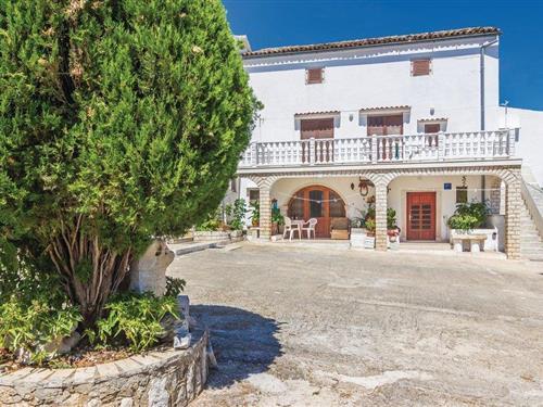 Holiday apartment - 4 persons -  - Musalez - Porec-Musalez - 52440 - Porec