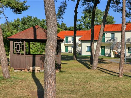 Ferielejlighed - 4 personer -  - Hinter der Düne - Ferienappartement - Juliusruh - 18556 - Altenkirchen