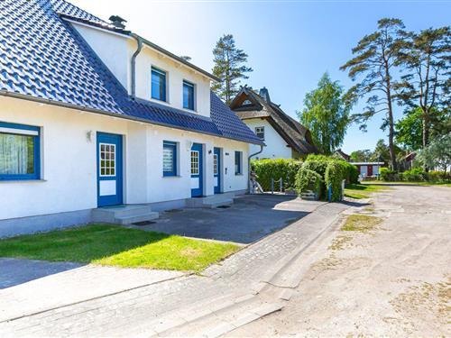 Ferielejlighed - 4 personer -  - Birkengasse - 18347 - Ostseebad Dierhagen