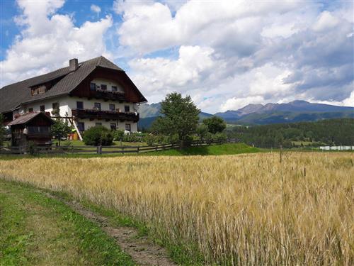 Bondegård - 4 personer -  - Seitling - 5571 - Mariapfarr