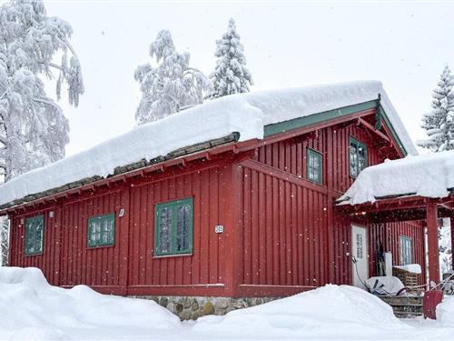 Fritidshus - 9 personer -  - Lindåsveien - Kongsberg - 3618 - Skollenborg