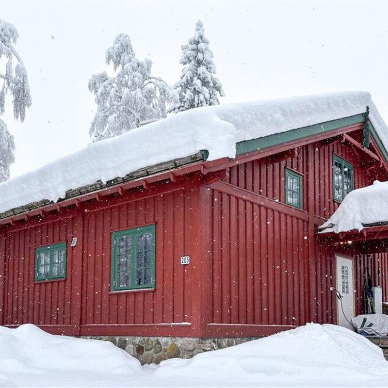 Sommerhus - 9 personer -  - Lindåsveien - Kongsberg - 3618 - Skollenborg