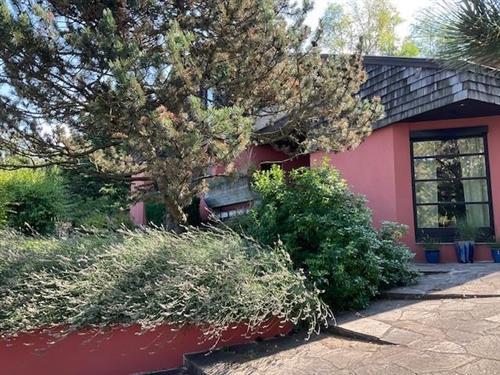 Ferieleilighet - 4 personer -  - Walpersbach - 2822 - Walpersbach