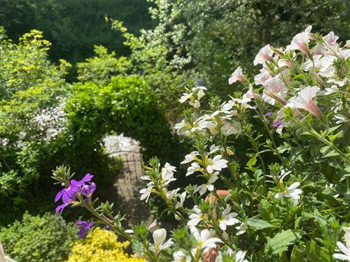 Semesterlägenhet - 2 personer -  - Traunsteiner Str. - 83329 - Waging Am See