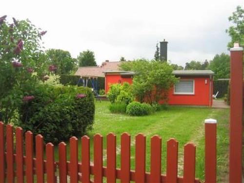 Feriehus - 5 personer -  - Altwarp - 17375