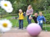 Bild 31