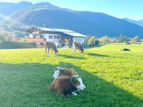 Ferienwohnung - 2 Personen -  - Oberschönauer Straße - 83471 - Schönau Am Königssee