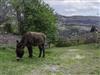Bild 37 - Innen
