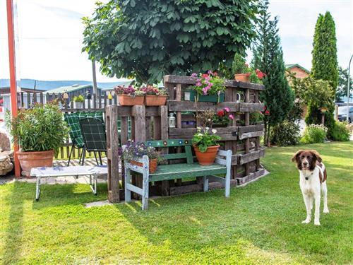 Ferienhaus - 5 Personen -  - Ramesdorfer Weg - 92723 - Tännesberg