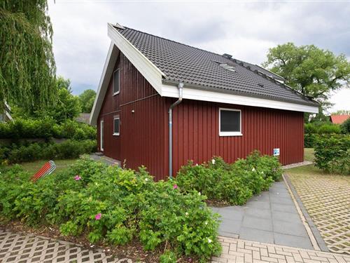 Sommerhus - 8 personer -  - Walter-Gotsmann-Straße - 17252 - Mirow