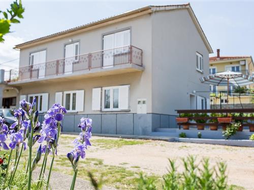 Feriehus / leilighet - 5 personer -  - Stara Cesta - 51515 - Šilo