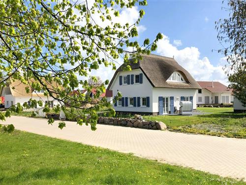 Sommerhus - 4 personer -  - Vaschvitz - 18569 - Vaschwitz