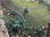 Billede 9