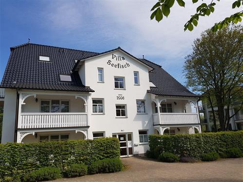 Ferielejlighed - 4 personer -  - Ulmenallee - 18586 - Göhren (Ostseebad)