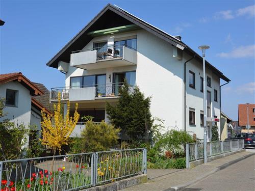 Ferienhaus - 8 Personen -  - Kleophastraße - 77977 - Rust