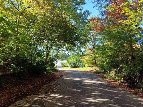 Ferielejlighed - 4 personer -  - Königsbergerstraße - 66663 - Merzig